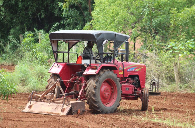 Ploughing on Mango Farm