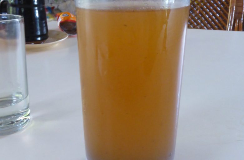 Home made ginger beer in glass