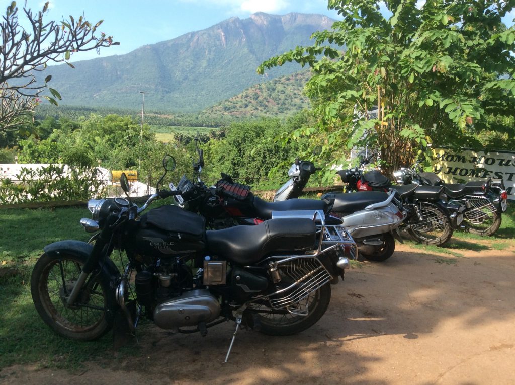 A felt of motorbikes